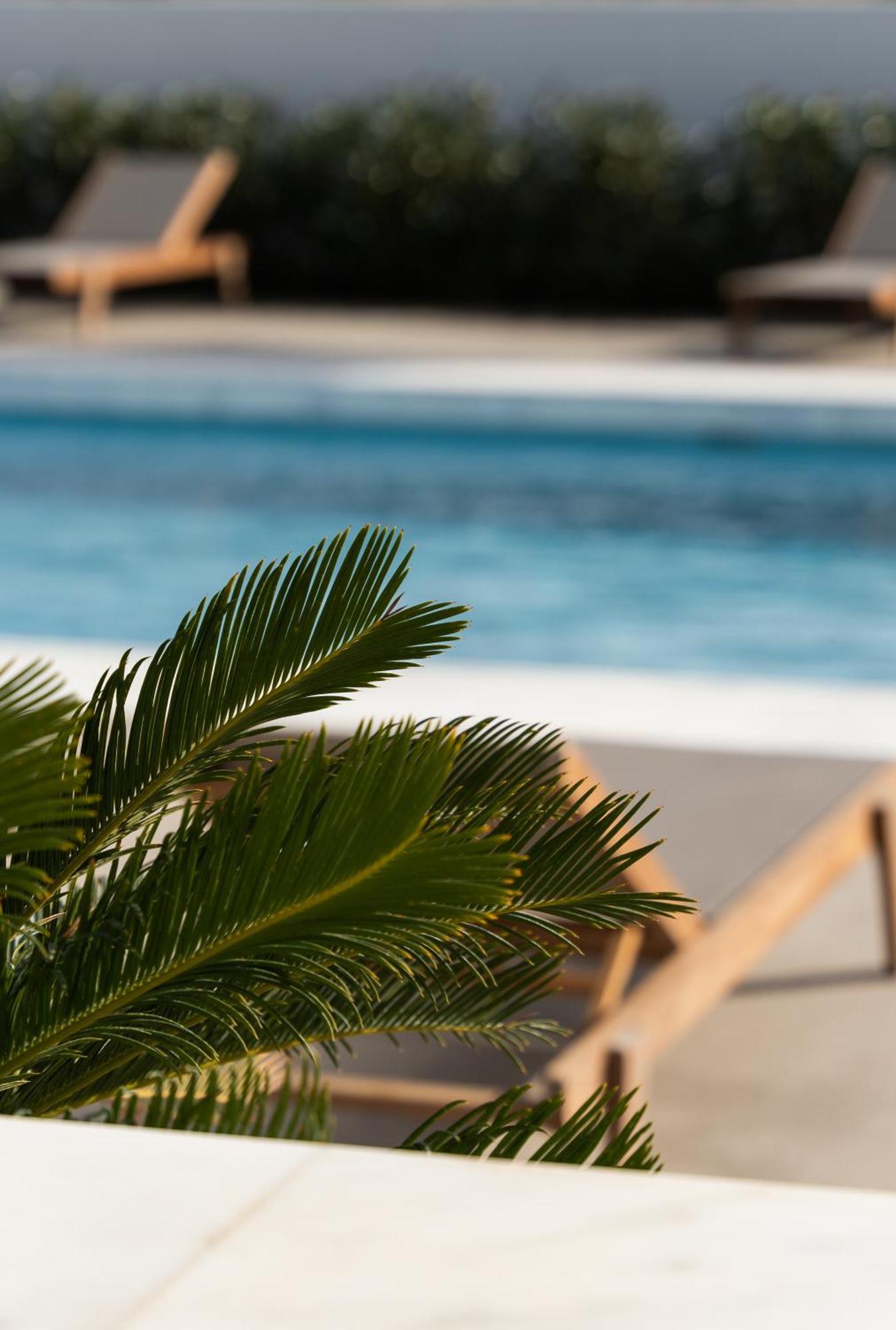 Tzanis Resort Skíros Eksteriør billede